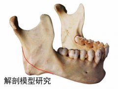 下颌骨整形手术的价格是多少