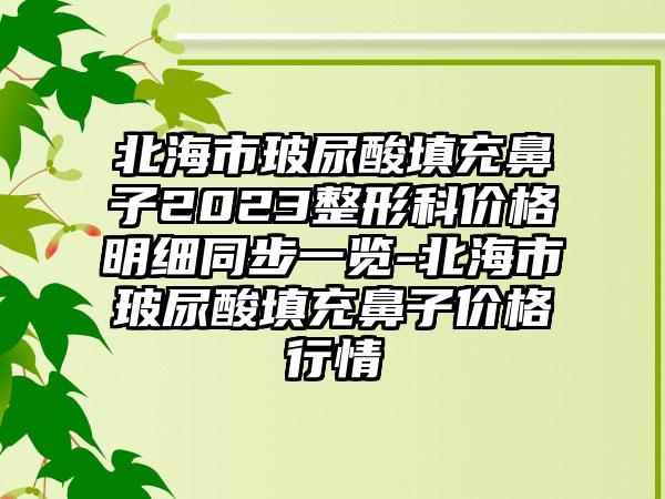 北海市玻尿酸填充鼻子2023整形科价格明细同步一览-北海市玻尿酸填充鼻子价格行情