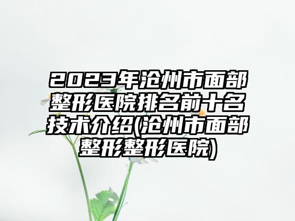 2023年沧州市面部整形医院排名前十名技术介绍(沧州市面部整形整形医院)