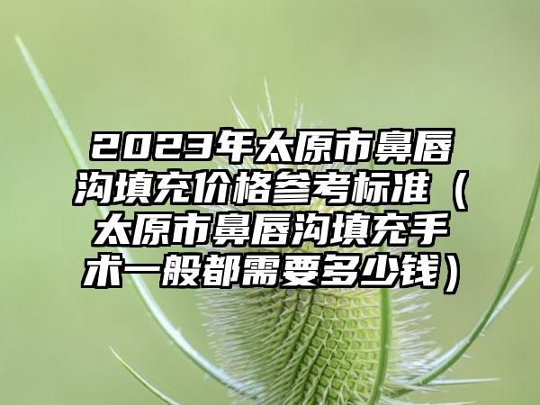 2023年太原市鼻唇沟填充价格参考标准（太原市鼻唇沟填充手术一般都需要多少钱）