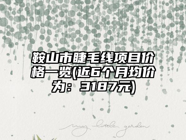 鞍山市睫毛线项目价格一览(近6个月均价为：3187元)