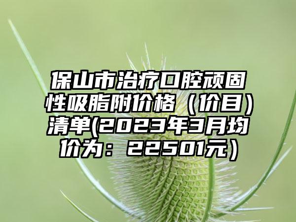 保山市治疗口腔顽固性吸脂附价格（价目）清单(2023年3月均价为：22501元）